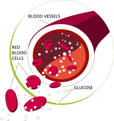 what is glucose